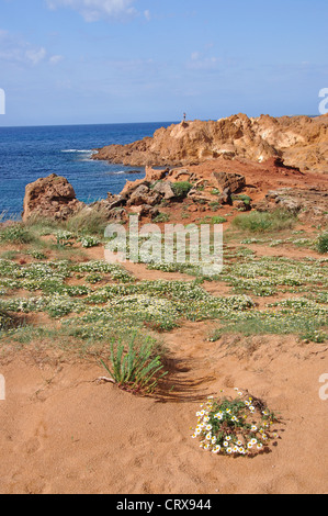 Küsten-Ansicht, S'Alairo/Cala Pregondo, Es Mercadal, Menorca, Balearen, Spanien Stockfoto