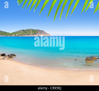 Aiguas Lehrschule Agua Blanca Ibiza Strand mit türkisblauem Wasser Stockfoto