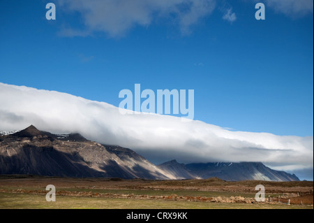 Berge, Südküste in der Nähe von Hoefn mit Islandpferde, Island, Europa Stockfoto