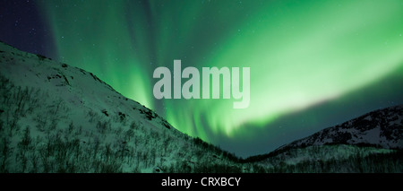 Das Nordlicht Aurora Borealis füllen den Himmel am Kvaloya am Polarkreis in der Nähe von Tromsø, Nordnorwegen Stockfoto