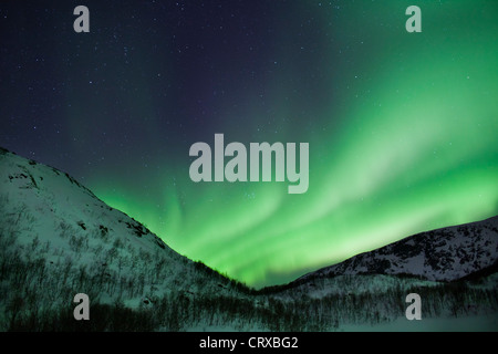 Das Nordlicht Aurora Borealis füllen den Himmel am Kvaloya am Polarkreis in der Nähe von Tromsø, Nordnorwegen Stockfoto