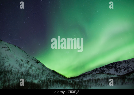 Das Nordlicht Aurora Borealis füllen den Himmel am Kvaloya am Polarkreis in der Nähe von Tromsø, Nordnorwegen Stockfoto