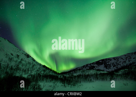 Das Nordlicht Aurora Borealis füllen den Himmel am Kvaloya am Polarkreis in der Nähe von Tromsø, Nordnorwegen Stockfoto