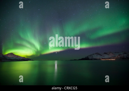 Das Nordlicht Aurora Borealis füllen den Himmel am Kvaloya am Polarkreis in der Nähe von Tromsø, Nordnorwegen Stockfoto