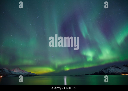 Das Nordlicht Aurora Borealis füllen den Himmel am Kvaloya am Polarkreis in der Nähe von Tromsø, Nordnorwegen Stockfoto