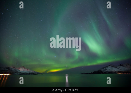 Das Nordlicht Aurora Borealis füllen den Himmel am Kvaloya am Polarkreis in der Nähe von Tromsø, Nordnorwegen Stockfoto