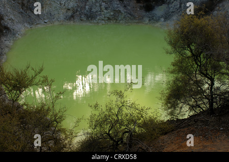 Des Teufels Höhle Pool im Wai-O-Tapu geothermal Gegend in Neuseeland Stockfoto