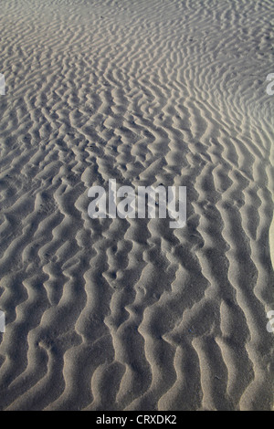 Rippelmarken am Strand erzeugen durch Wind in Kujukuri Strand Chiba Japan Stockfoto