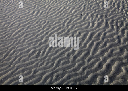 Rippelmarken am Strand erzeugen durch Wind in Kujukuri Strand Chiba Japan Stockfoto