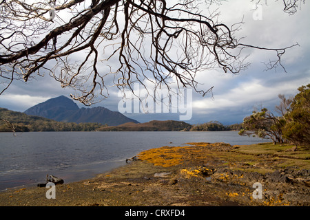 Blick auf Mt Rugby vom Wald Lagune Tasmaniens-Southwest-Nationalpark Stockfoto