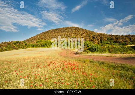 Croscat Vulkan in der Garrotxa vulkanischen Zone, Katalonien, Spanien Stockfoto