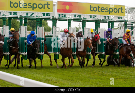 Pferde und ihre Jockeys, die das Starttor verlassen, stehen zu Beginn eines Rennens. Stockfoto