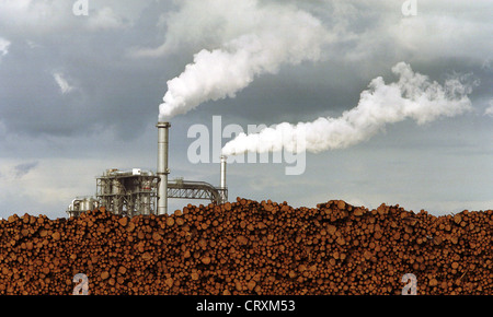 Rauchende Schlote einer Industrieanlage Stockfoto