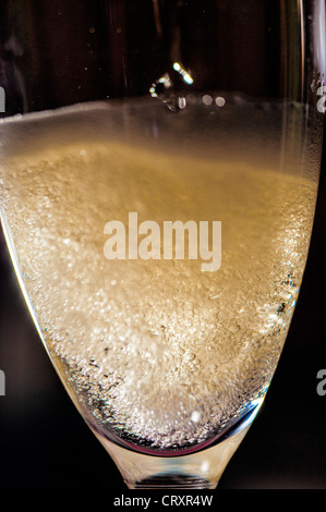 Europa italienischer Schaumwein Bläschen im Glas Stockfoto