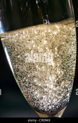 Europa italienischer Schaumwein Bläschen im Glas Stockfoto