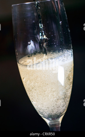 Europa italienischer Schaumwein Bläschen im Glas Stockfoto