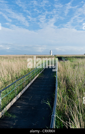 Newport Feuchtgebiete, Gwent Ebenen, South Wales Stockfoto