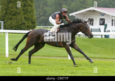 Fight Club mit Andrasch Starke gewinnt Stockfoto