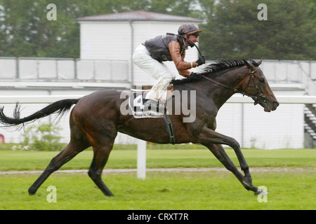 Fight Club mit Andrasch Starke gewinnt Stockfoto