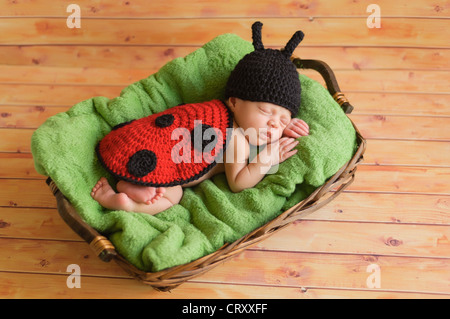 Drei Wochen altes neugeborenes Mädchen in einem Marienkäfer-Kostüm Stockfoto