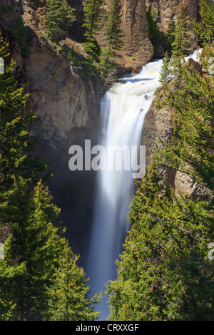 Turm fällt im Yellowstone-Nationalpark, Wyoming, USA Stockfoto