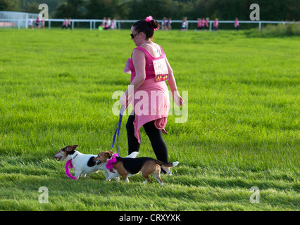 Frau zu Fuß mit Hunden in der Race for Life in Stratford Racecourse. Stockfoto