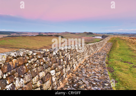 Hadrian Wand in der Nähe von Stahl Rigg einmal gebraut Northumberland England UK GB EU Europa Stockfoto