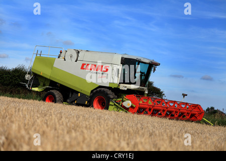 Mähdrescher CLAAS Lexion 470 Evolution. Ein dynamisches Bild vor einem blauen Himmel gesetzt. Stockfoto