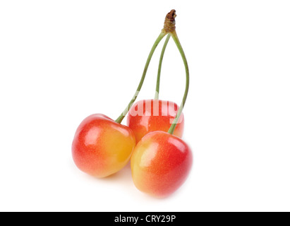 drei Cheriies auf weißem Hintergrund Stockfoto