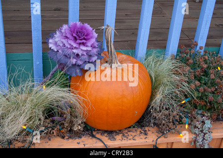 Herbst Blumenkasten mit ornamentalen blühende Kohl und Kürbis. Kabel Wisconsin WI USA Stockfoto