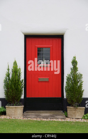 Die rote Tür, flankiert von zwei Topfpflanzen Zypressen Bäume gehören zu den weiß getünchten strohgedeckten Hütten von Milton Abbas. Dorset, England, Vereinigtes Königreich. Stockfoto