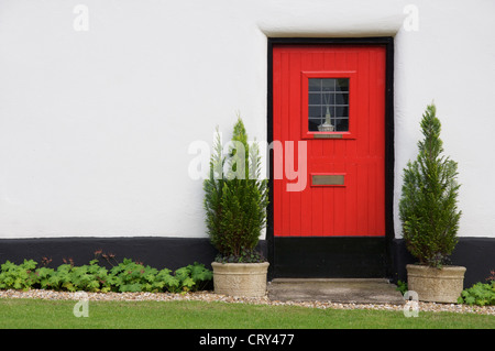 Die rote Tür, flankiert von zwei Topfpflanzen Zypressen Bäume gehören zu den weiß getünchten strohgedeckten Hütten von Milton Abbas. Dorset, England, Vereinigtes Königreich. Stockfoto