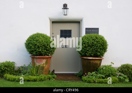 Der Haustür, flankiert von zwei Topfpflanzen Zierbäume der Bank House. Eines der weiß getünchten strohgedeckten Hütten von Milton Abbas. Dorset, England, Vereinigtes Königreich. Stockfoto