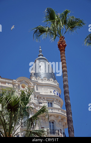 l'InterContinental Carlton, Boulevard De La Croisette, Cannes, Côte d ' Azur, Alpes-Maritimes, Provence-Alpes-Côte d ' Azur, Frankreich Stockfoto