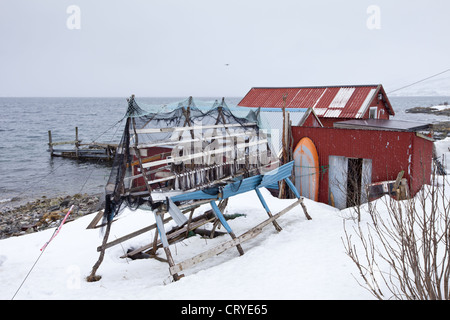 Stockfisch Kabeljau trocknen auf traditionellen Gestellen Hjell am Polarkreis am Ringvassoya in Region Tromsø, Nordnorwegen Stockfoto