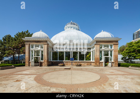 Allan Gardens Palm House Konservatorium, Toronto Stockfoto