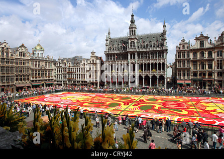 Belgien, Brüssel, Grand-Place Stockfoto