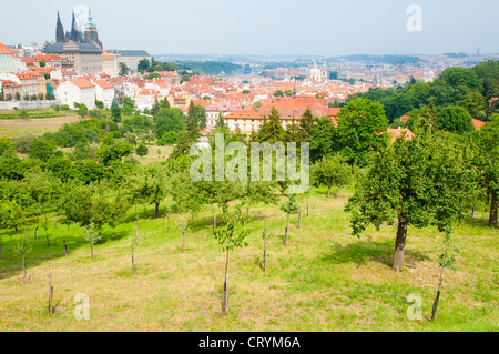 Strahovska Zahrada Park zwischen Petrin-Hügel und Mala Strana Viertel im Frühsommer Prag Tschechische Republik Europa Stockfoto