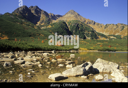 Blick auf die Jahnaci Stit von Tarn 'Velke Biele Pleso"in der hohen Tatra, Slowakei. Stockfoto