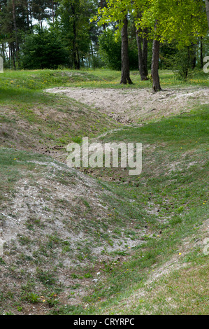 Überreste des ersten Weltkrieges Graben, Sommepy American Monument, Champagne Region, Frankreich Stockfoto