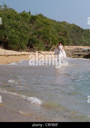 Frau im weißen Hochzeitskleid auf einem weißen Pferd galoppiert am Strand entlang Stockfoto