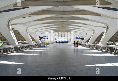 Bahnhofshalle, Gare de Saint-Exupéry TGV, Lyon, Frankreich Stockfoto