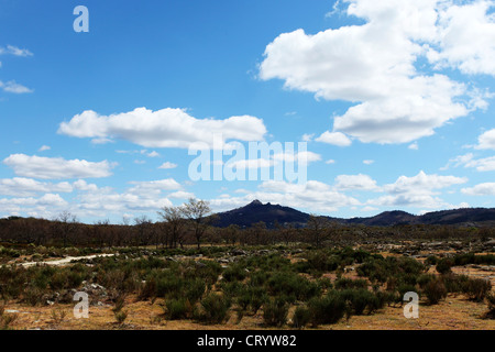 Die Stadt von Marvao in der Region Alentejo, Portugal. Stockfoto