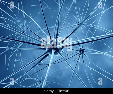 Das Gehirn - Neuronen und Nervensystem Stockfoto