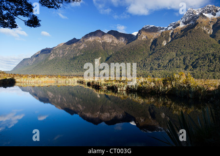 Spiegel Tarn, Hollyford Valley, Fiordland, Neuseeland Stockfoto