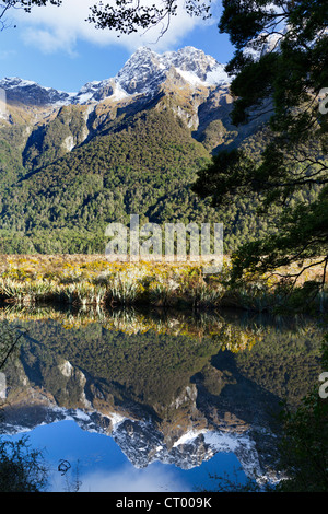 Spiegel Tarn, Hollyford Valley, Fiordland, Neuseeland Stockfoto