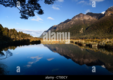 Spiegel Tarn, Hollyford Valley, Fiordland, Neuseeland Stockfoto