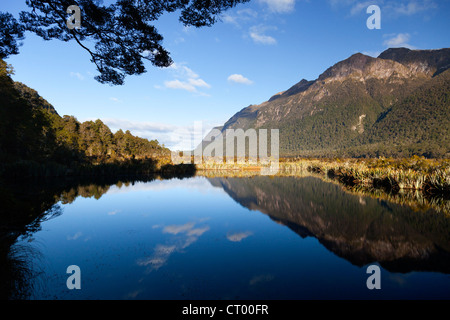 Spiegel Tarn, Hollyford Valley, Fiordland, Neuseeland Stockfoto