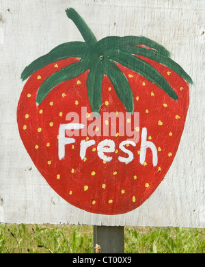 Englische Erdbeeren ein Schild, das frisch in Kent angebaut wird. Schilder für den Bauernhof. Großbritannien 2012, 2010er, England HOMER SYKES Stockfoto