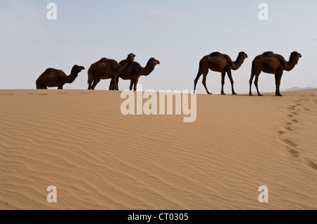 Wüsten des Iran, Dasht-e Kavir Stockfoto